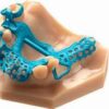 x3d dental model soft