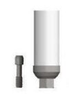 Conical Temporary abutment